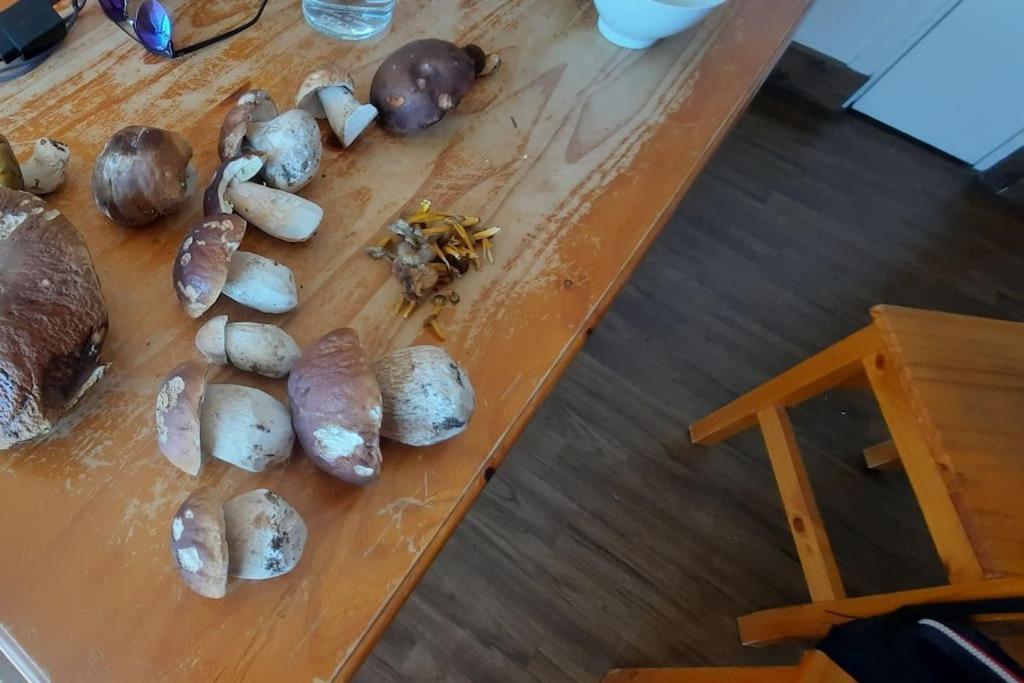 Appartement Vercors 4 Personnes Autrans-Meaudre-en-Vercors Zewnętrze zdjęcie